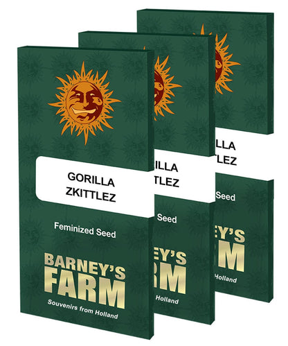 Barney's Farm Gorilla Zkittlez