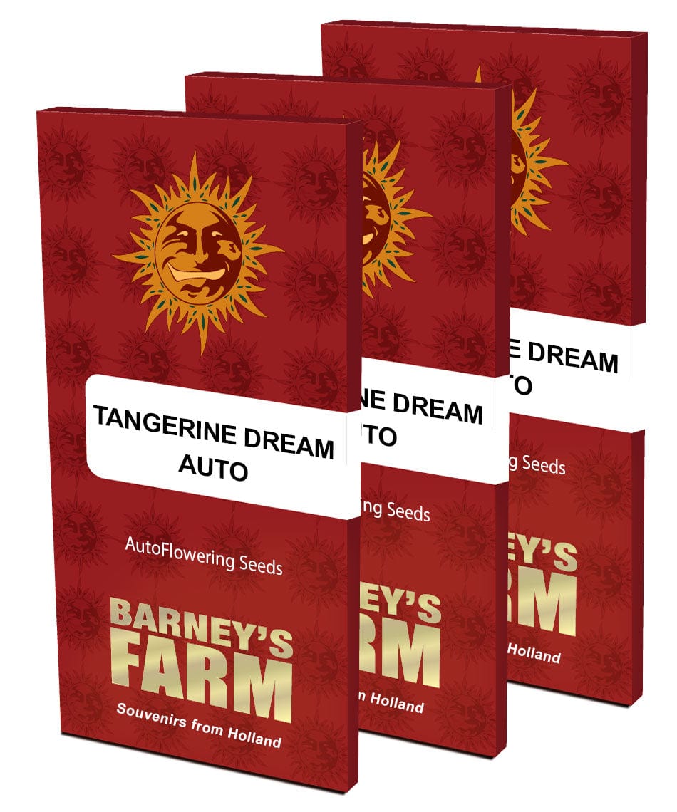Barney's Farm Tangerine Dream Auto